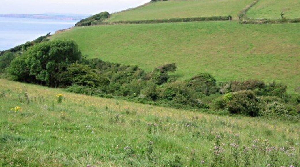 Springcombe Looking up to the eastern side of Salcombe Hill. The gully in the bottom of the valley takes the stream to the beach at Salcombe Mouth.