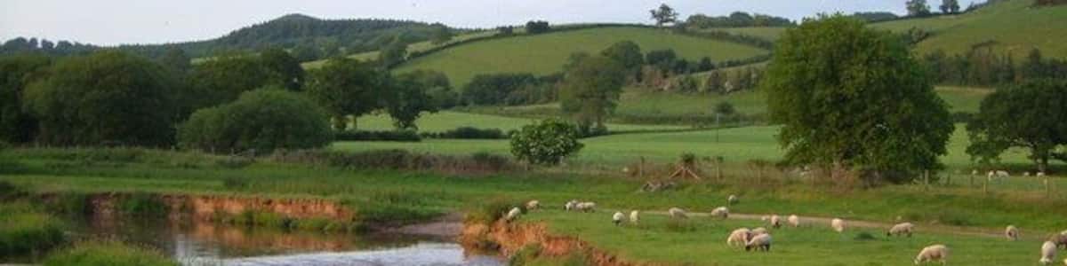 River Otter at Dotton. Seen from the footbridge between Dotton and Ashtree farms, looking upstream, showing the typically collapsing banks. A ford takes the farm track across. In the distance is Beacon Hill above Harpford.