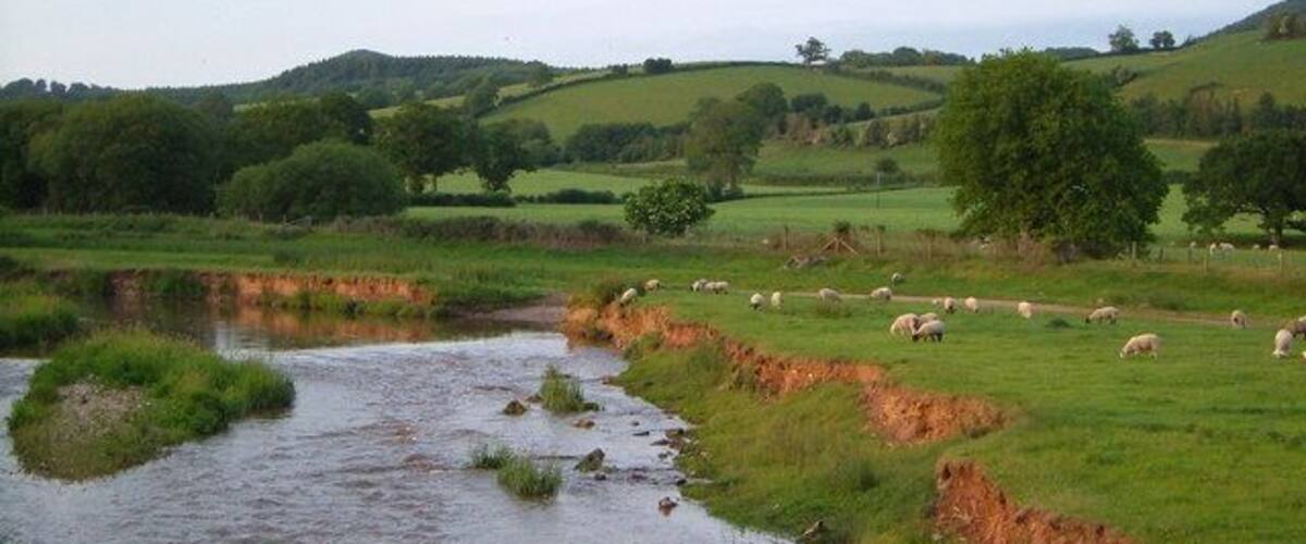 River Otter at Dotton. Seen from the footbridge between Dotton and Ashtree farms, looking upstream, showing the typically collapsing banks. A ford takes the farm track across. In the distance is Beacon Hill above Harpford.