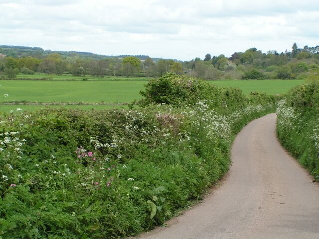 Lane near Pitson farm