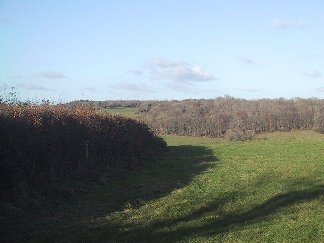 Field Boundary east of Paccombe Hill