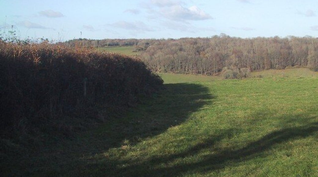 Field Boundary east of Paccombe Hill