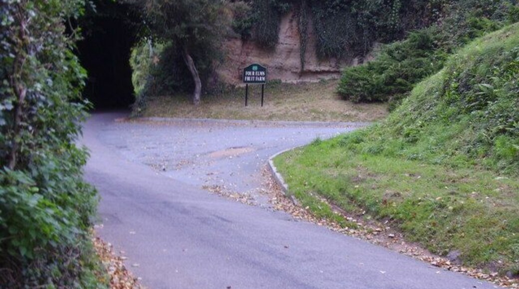 Pick your own Entrance to Four Elms Fruit Farm at Harpford.