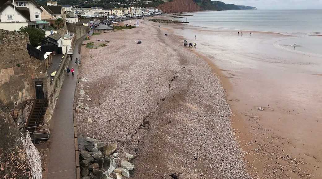 View of Sidmouth from Connaut Gardens during Folk Week 2017