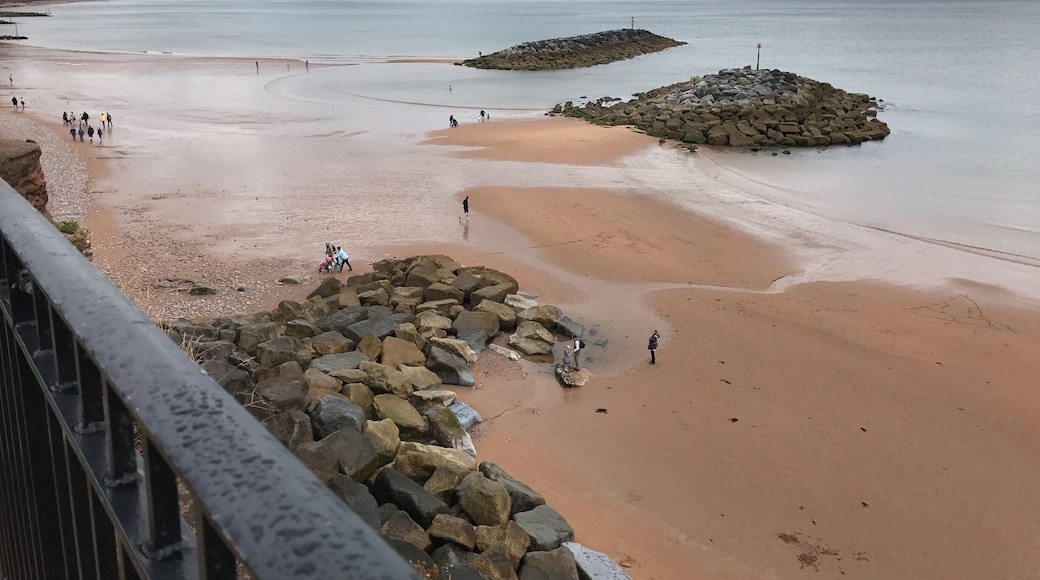 Low tide at Sidmouth