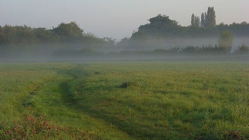 Charvil Meadows A path leading towards the A4 with shallow early autumn mist on this part of the Loddon floodplain.