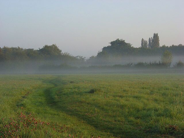A grassy field with a path leading to a tree-covered hill.