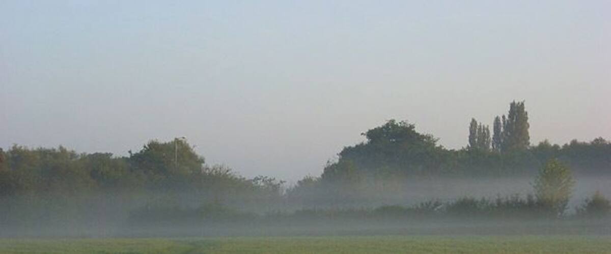 A grassy field with a path leading to a tree-covered hill.