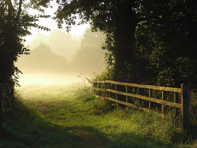 Charvil Meadows The passageway between two fields immediately north of the A3032 on a typical autumn morning.