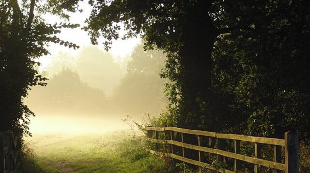 Charvil Meadows The passageway between two fields immediately north of the A3032 on a typical autumn morning.