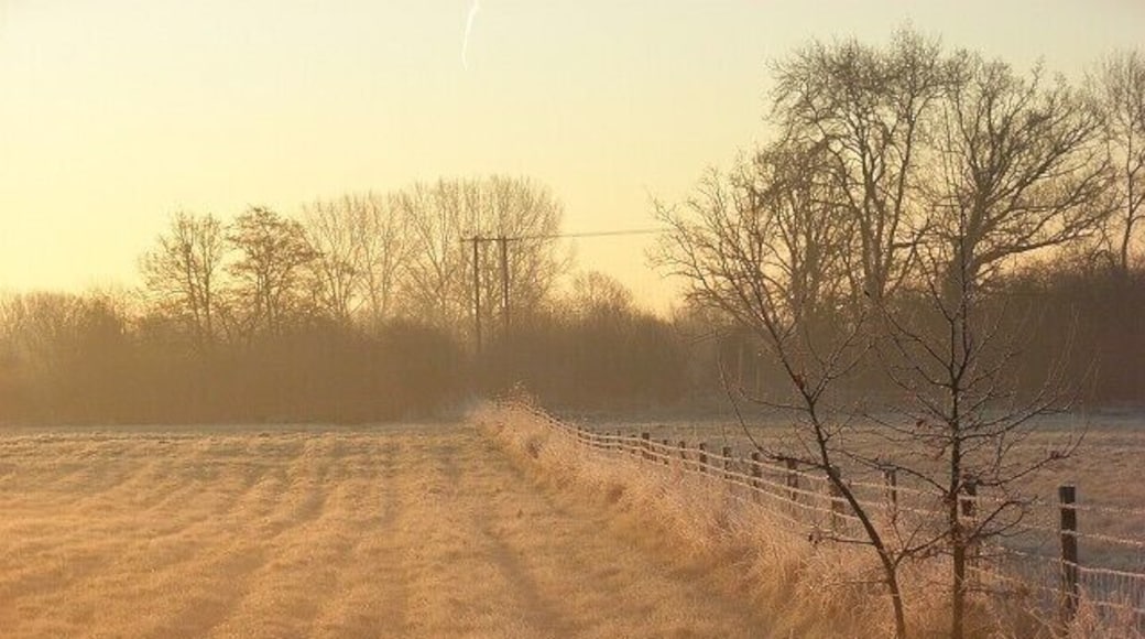 Charvil Meadows Part of a nature reserve on the Loddon floodplain. Not as peaceful as it looks with rush-hour taking place on the adjacent A4.