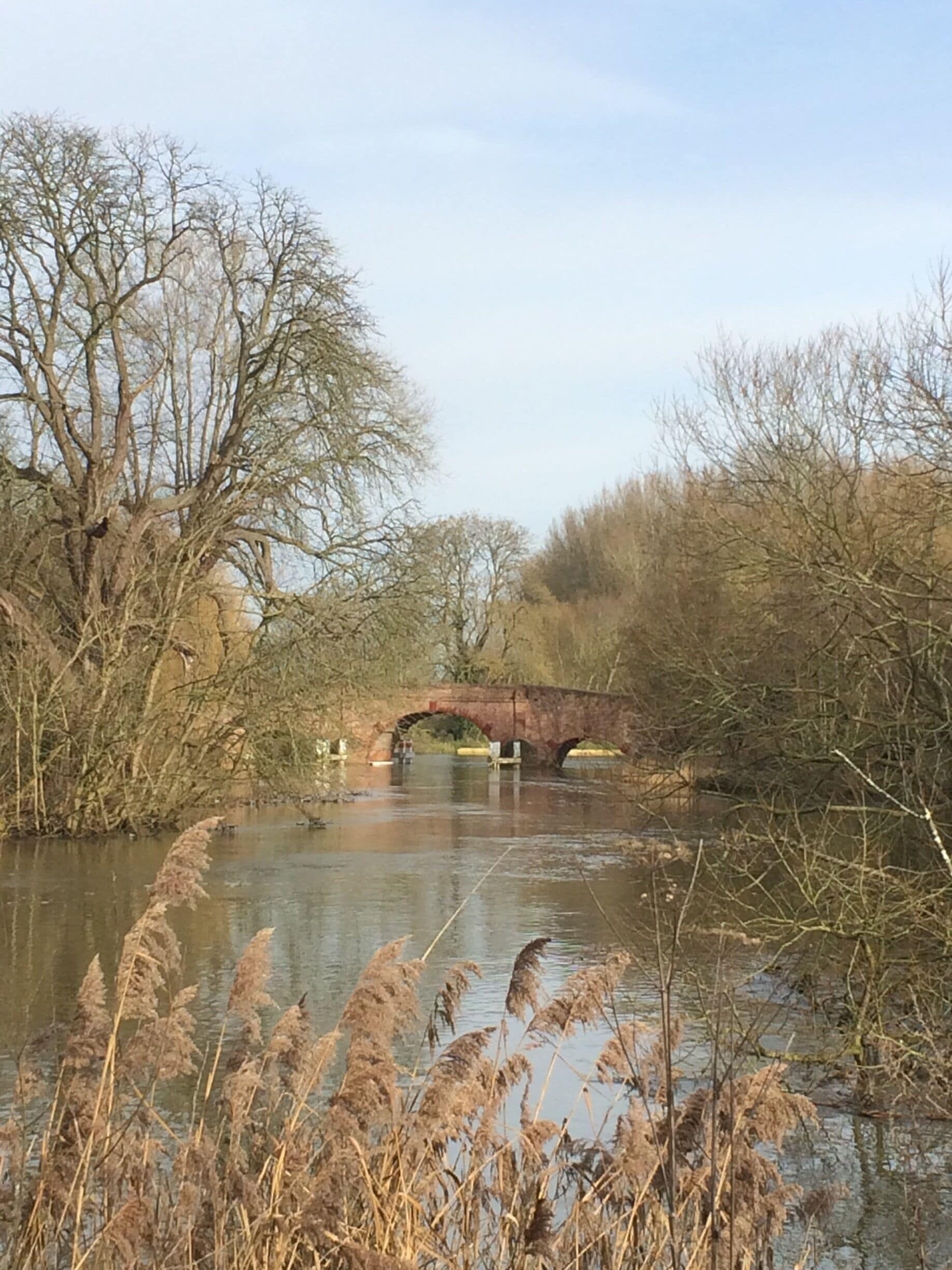 Sonning Bridge in mid winter