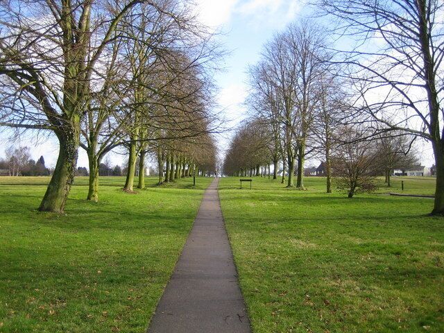 A pathway lined with leafless trees in a park.