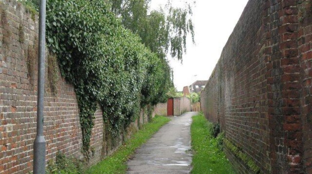 Doctor's Alley A cut through from the Common to the High Street. So-called because just before one got to the High Street a gate in the wall led into Dr Totton's surgery - a long time ago. He is now remembered through at least one street name in the village.