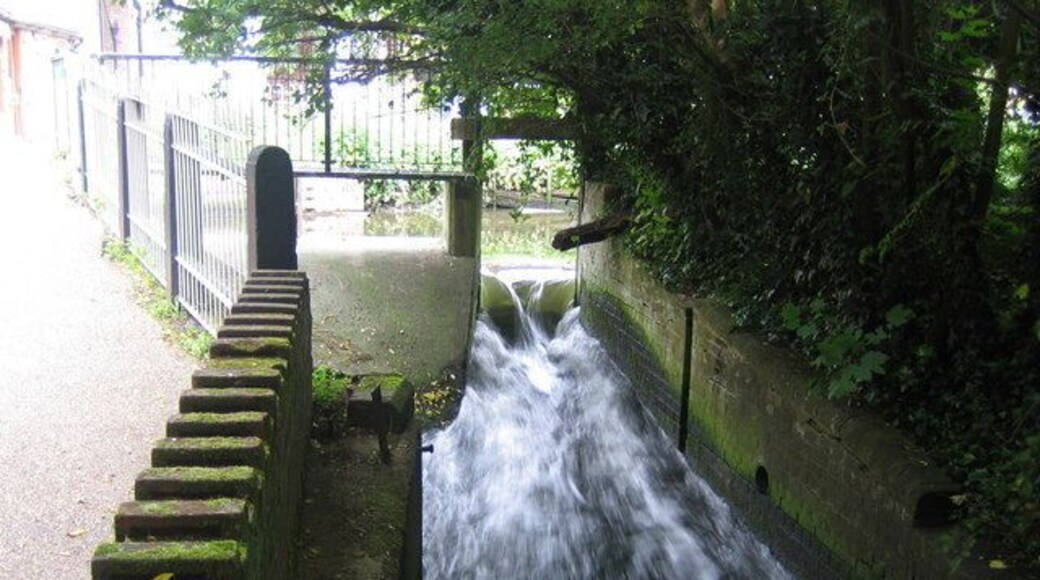 River Lee in Wheathampstead This is the mill bypass channel showing the head of water in the main river above the low sluice gate. The main river is flowing from right to left towards the mill.