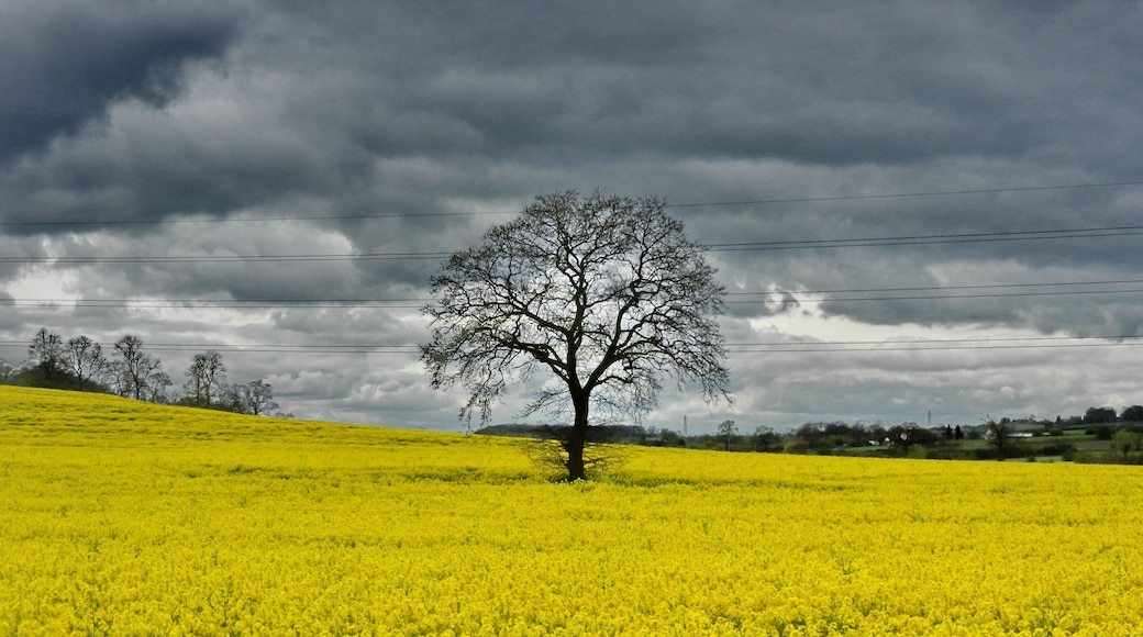 The beginning of spring