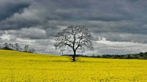 The beginning of spring