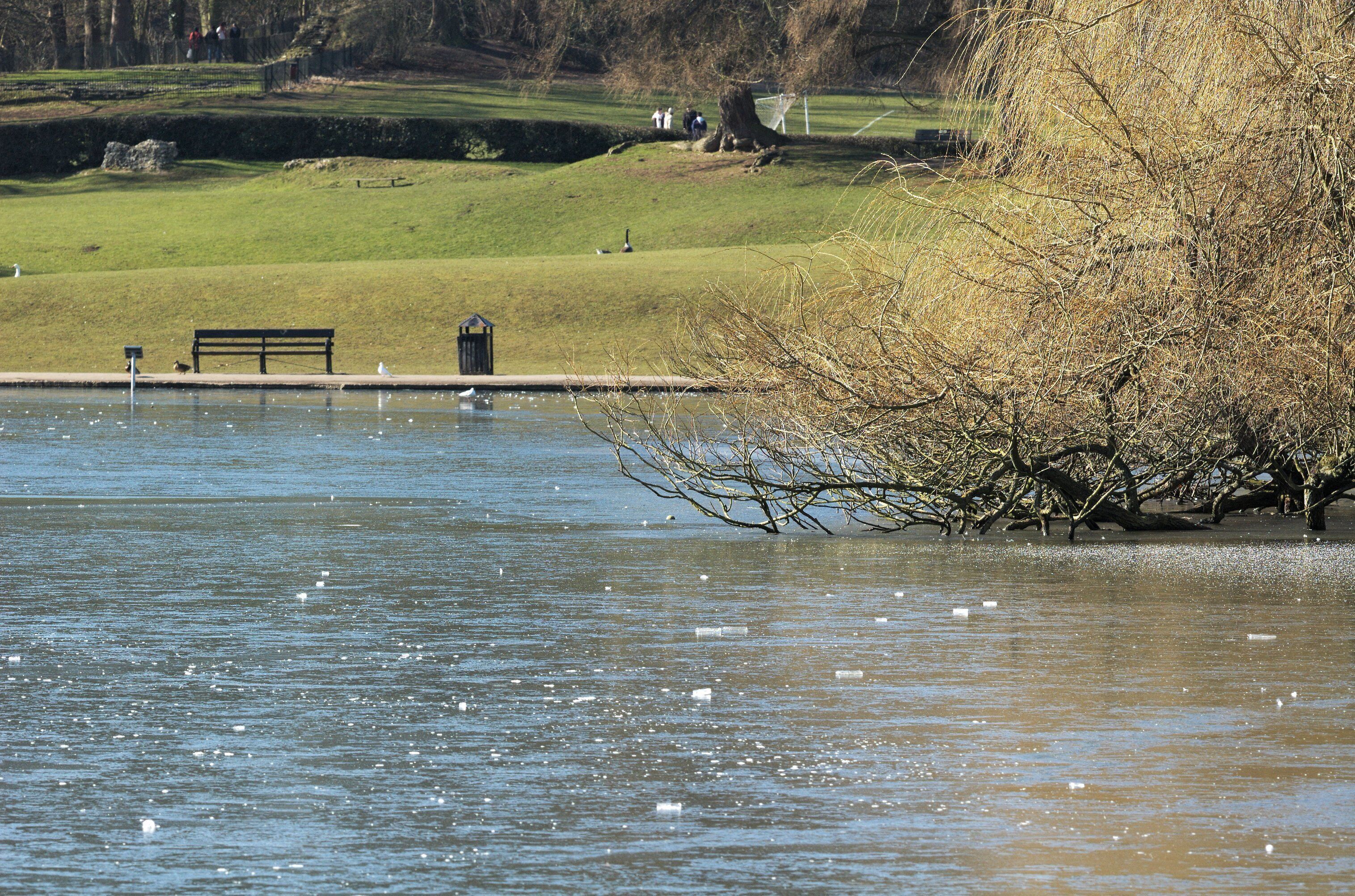 Ice-covered lake in Verulamium Park, St Albans, UK.
