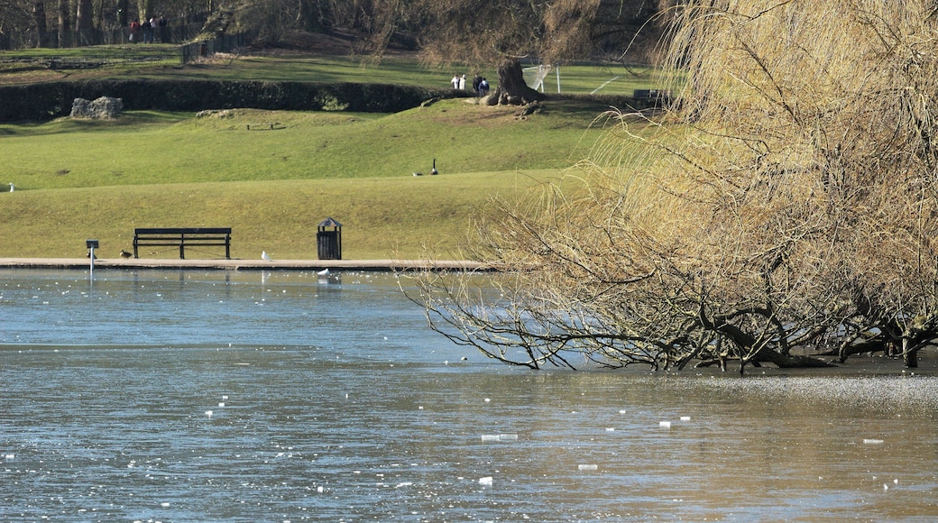Ice-covered lake in Verulamium Park, St Albans, UK.