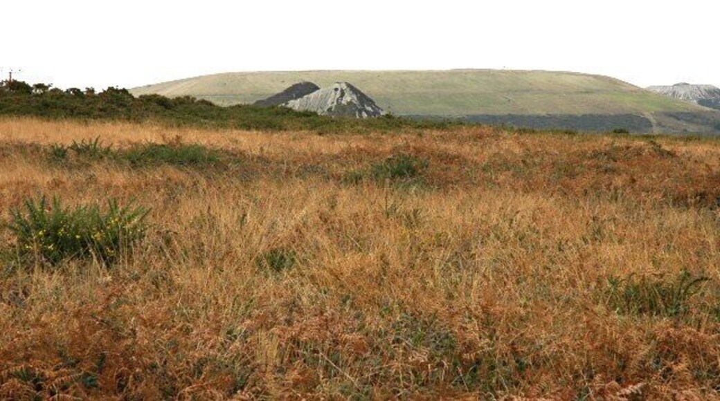 Looking North Looking north from the road junction at the top of Carne Hill across heathland on the slope of St Mewan Beacon towards china clay spoil heaps in the distance.