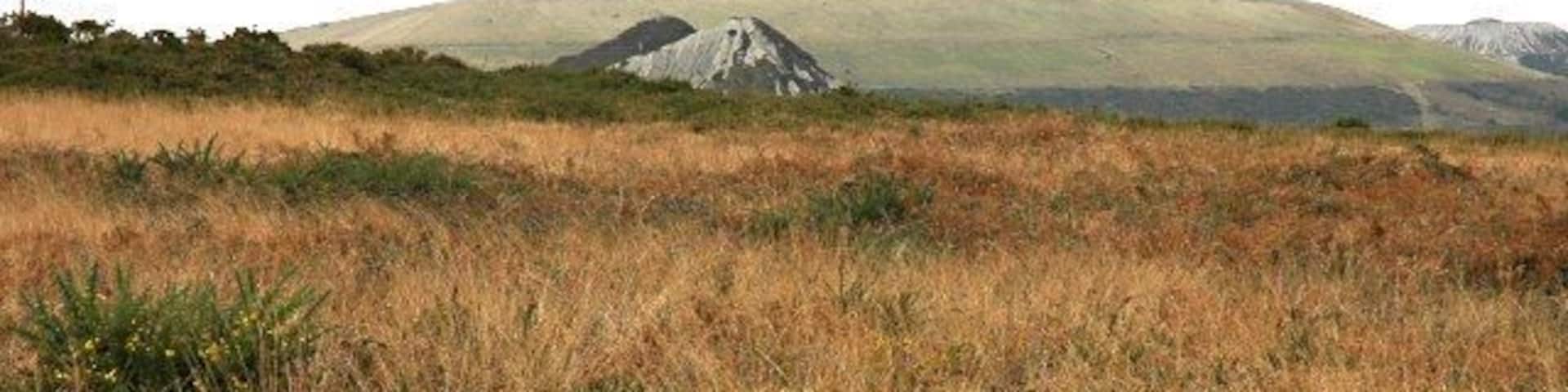 Looking North Looking north from the road junction at the top of Carne Hill across heathland on the slope of St Mewan Beacon towards china clay spoil heaps in the distance.