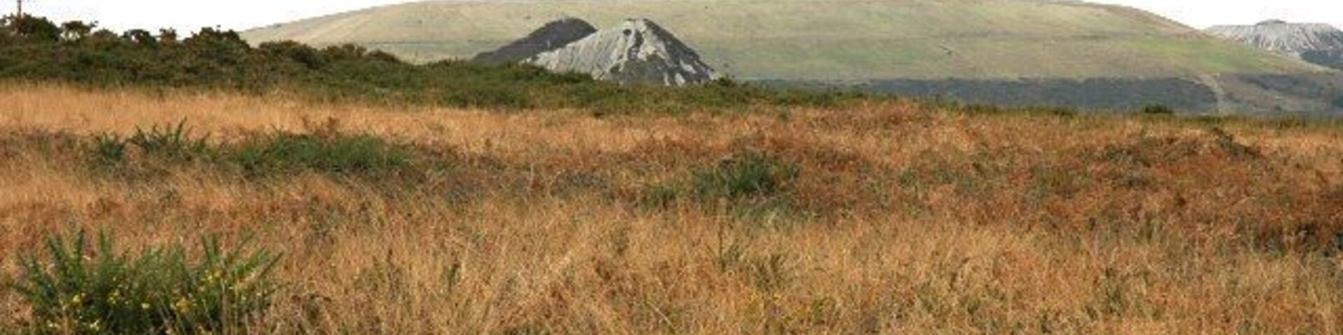 Looking North Looking north from the road junction at the top of Carne Hill across heathland on the slope of St Mewan Beacon towards china clay spoil heaps in the distance.