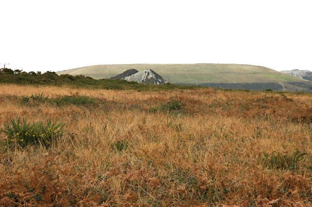 A grassy field with rolling hills and a mountain in the distance.