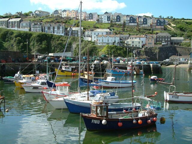 A harbor with various boats docked, a rocky shoreline, and houses in the background.