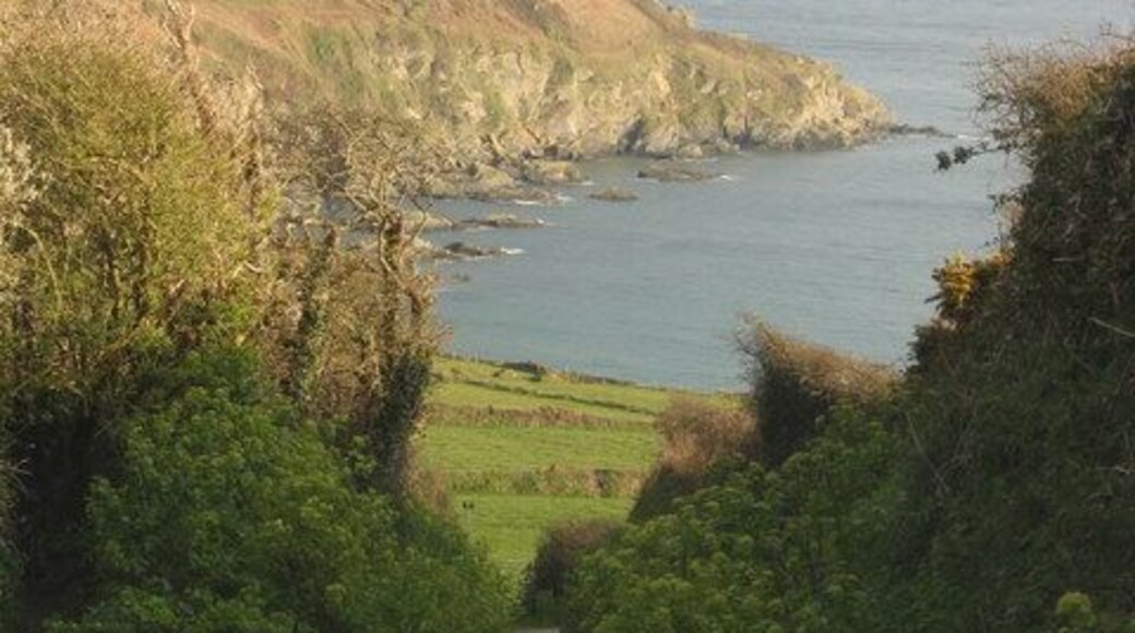 On the road from Boswinger to Hemmick Beach