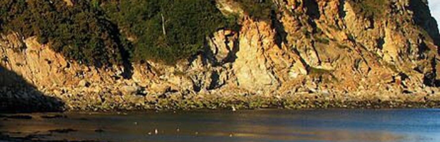 Una costa rocosa con una playa y gente caminando por la orilla.