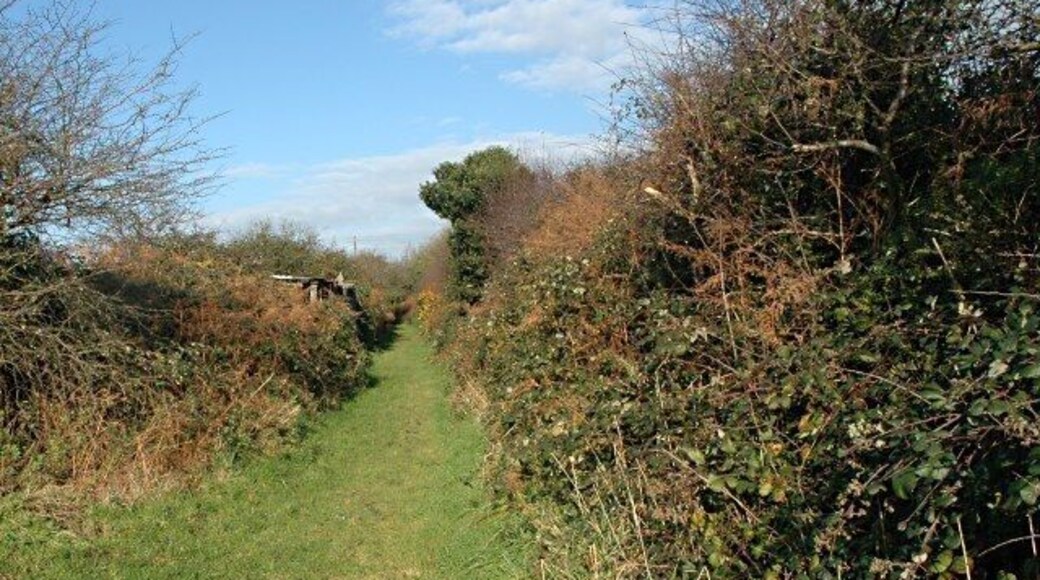 Footpath near High Street