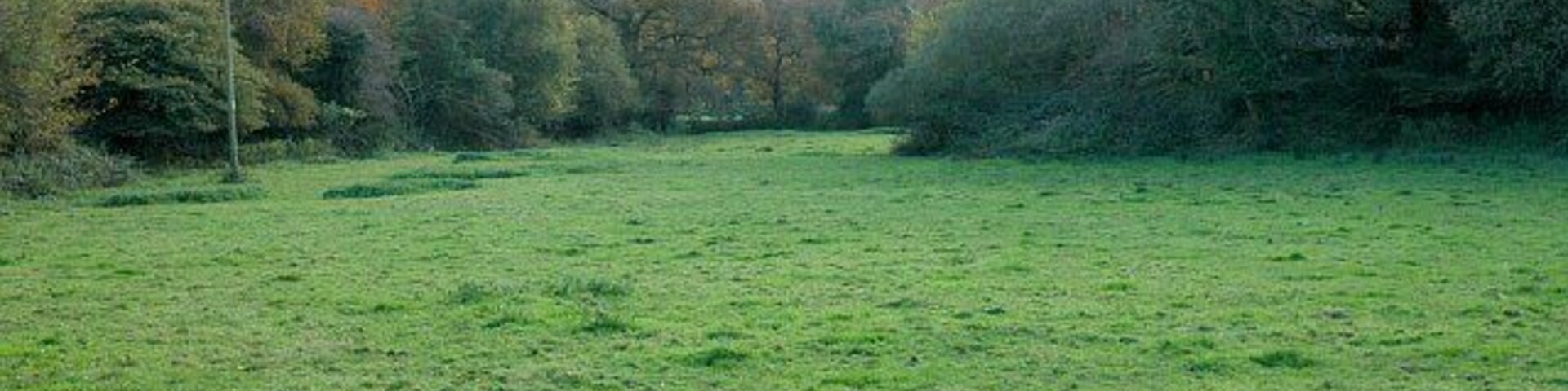 Valley Bottom Pasture at Gwindra.