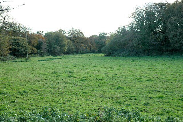 A grassy field with trees in the background.