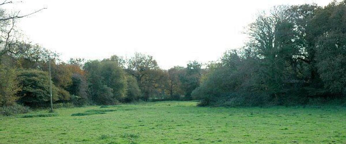 A grassy field with trees in the background.