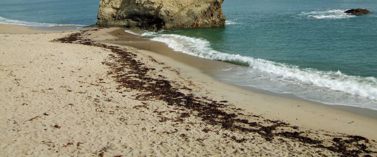A sandy beach with seaweed, a large rock formation, and calm ocean waves.