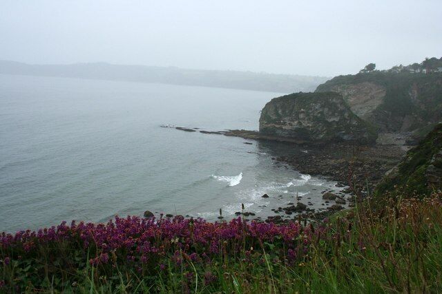 Gull Rock Gull Rock with Landrion Point behind, between Charlestown and Carlyon Bay