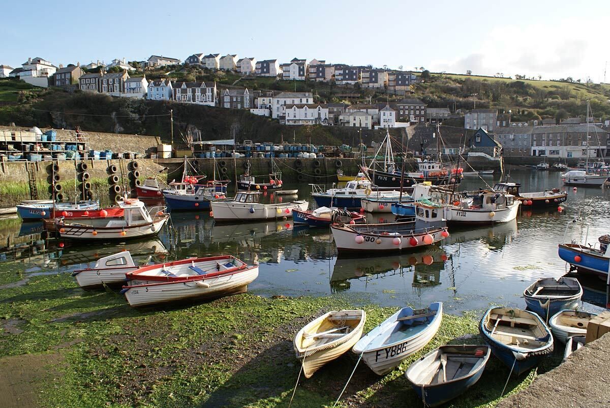 A harbor with various boats docked, a waterfront with houses in the background, and a grassy embankment.