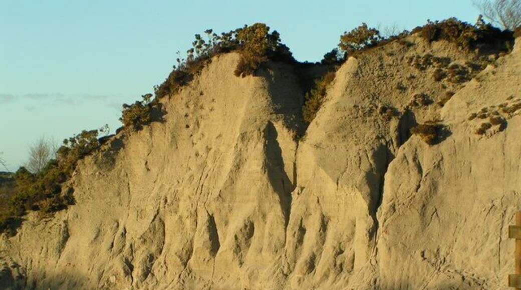 Sand waste from old china clay pit. Sand martins nest here in the summer.