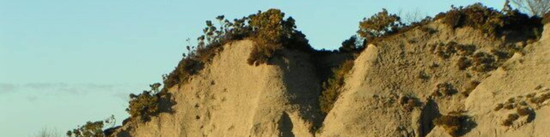 Sand waste from old china clay pit. Sand martins nest here in the summer.