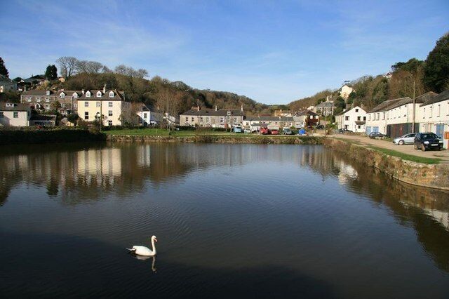 A calm lake with a swan, surrounded by houses and trees.