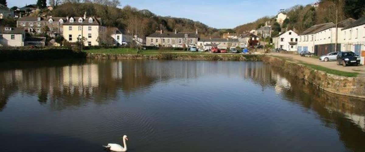 A calm lake with a swan, surrounded by houses and trees.