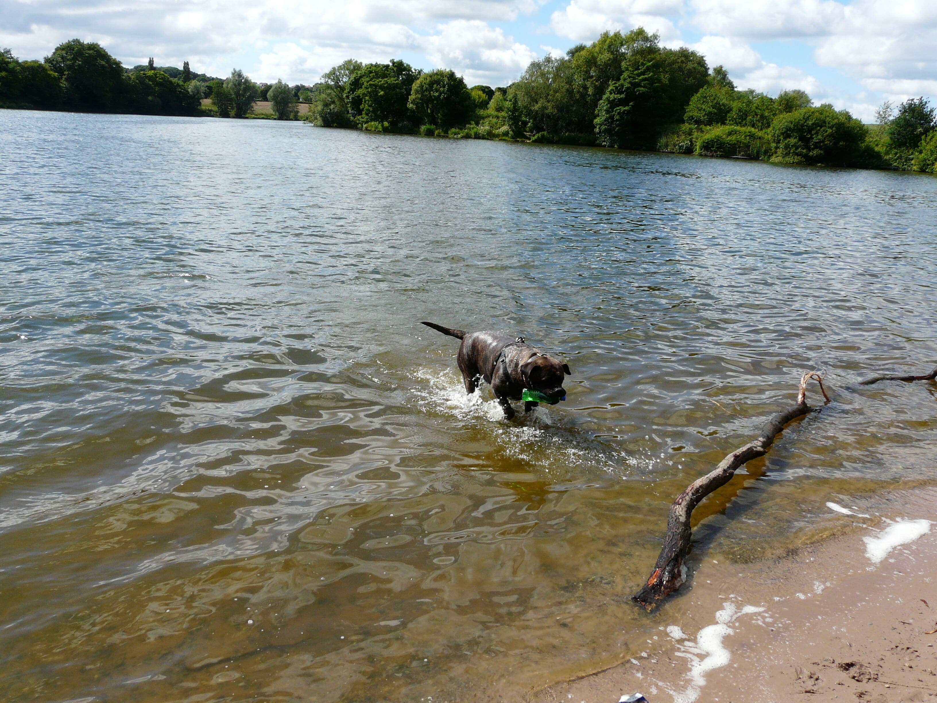 carrmill dam sandy bay