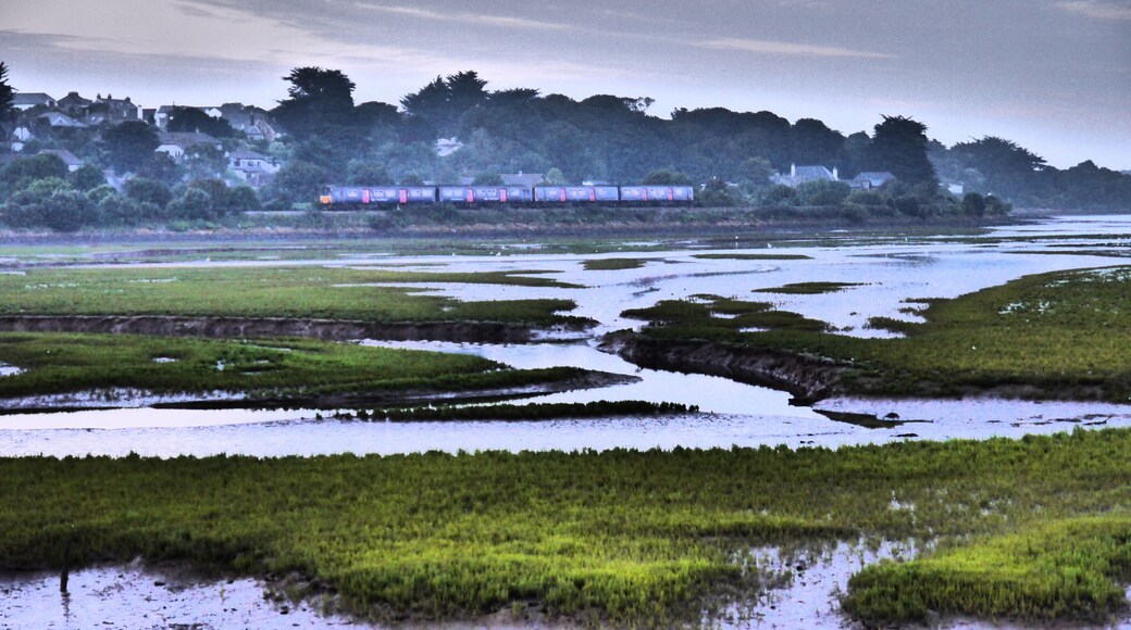 Trainspotting out the saltings.~.twilight.