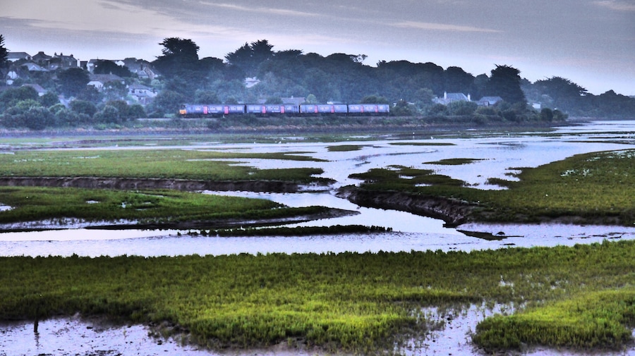 A train moving through a wetland area with water channels and greenery.