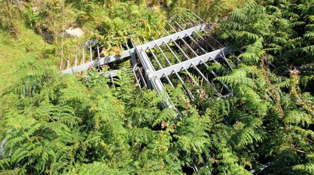 Old Mine Shaft, Rosewall Hill There are many old shafts on the hill from the history of tin mining.