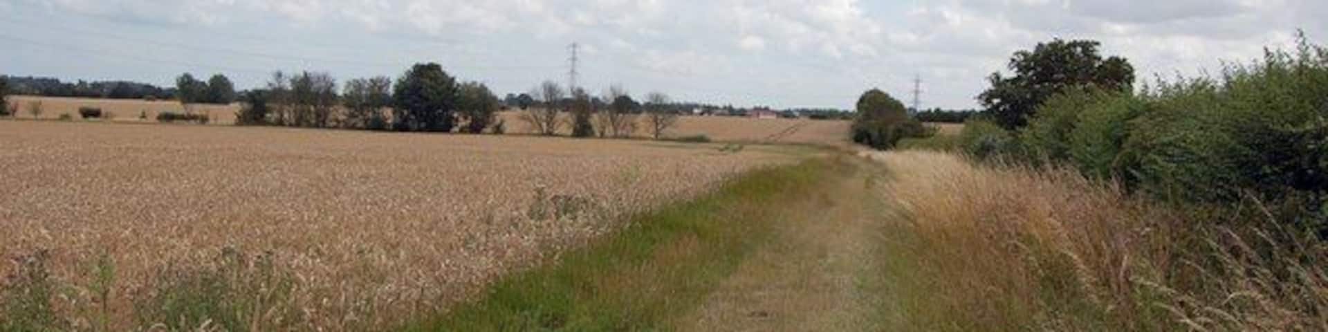 Looking South From Footpath Junction Near St Lawrence Taken from St Peter's Way footpath, this looks south along the path towards High House Farm.