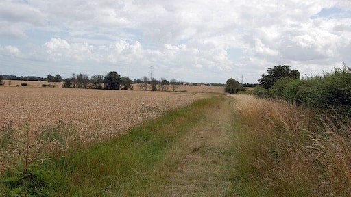 Looking South From Footpath Junction Near St Lawrence Taken from St Peter's Way footpath, this looks south along the path towards High House Farm.