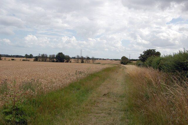 A rural landscape with a dirt path, fields, and scattered trees.