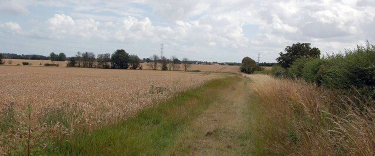 A rural landscape with a dirt path, fields, and scattered trees.