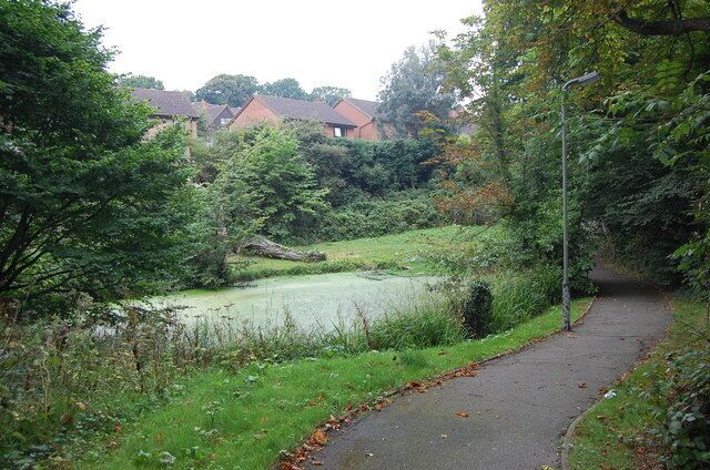 Stagnant Pond off Battle road